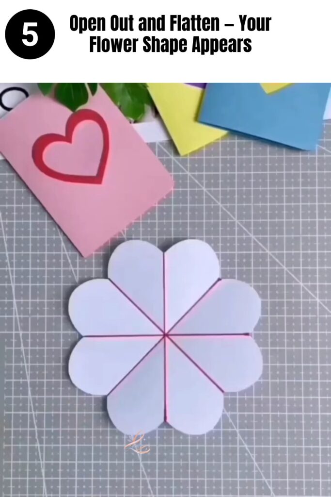 Step 5 - Open Out and Flatten — Your Flower Shape Appears