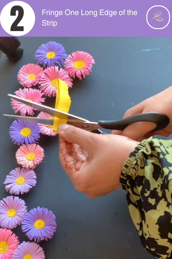 Fringe One Long Edge of the Strip