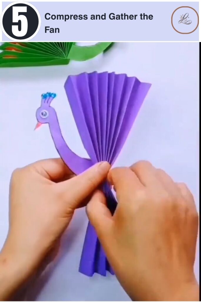Colorful Paper Peacock Craft Anyone Can Make Folding a pleated purple strip of paper in half to form a fan structure.